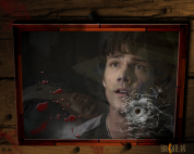 �����-����������